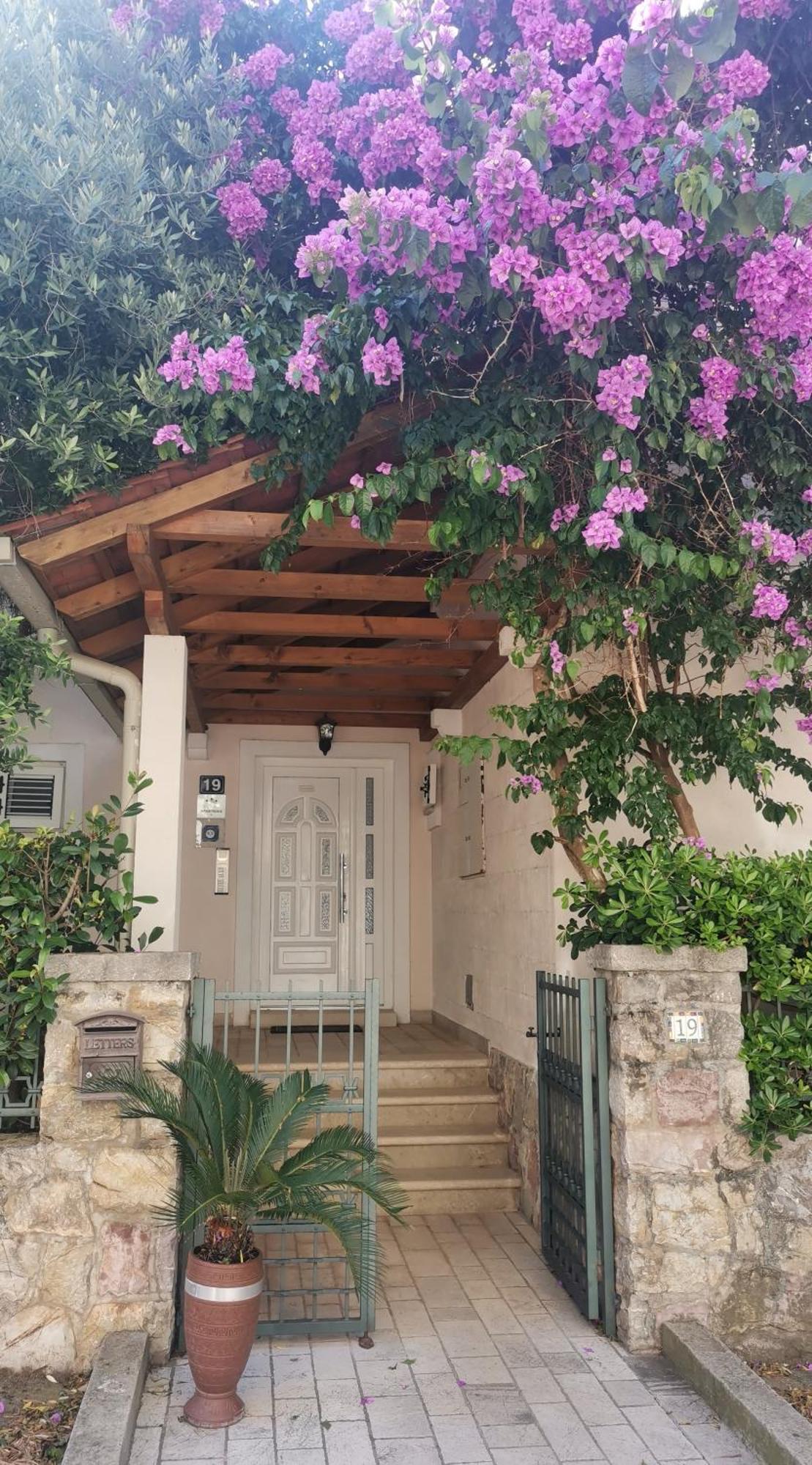 Apartments Maris Petrovac Dış mekan fotoğraf