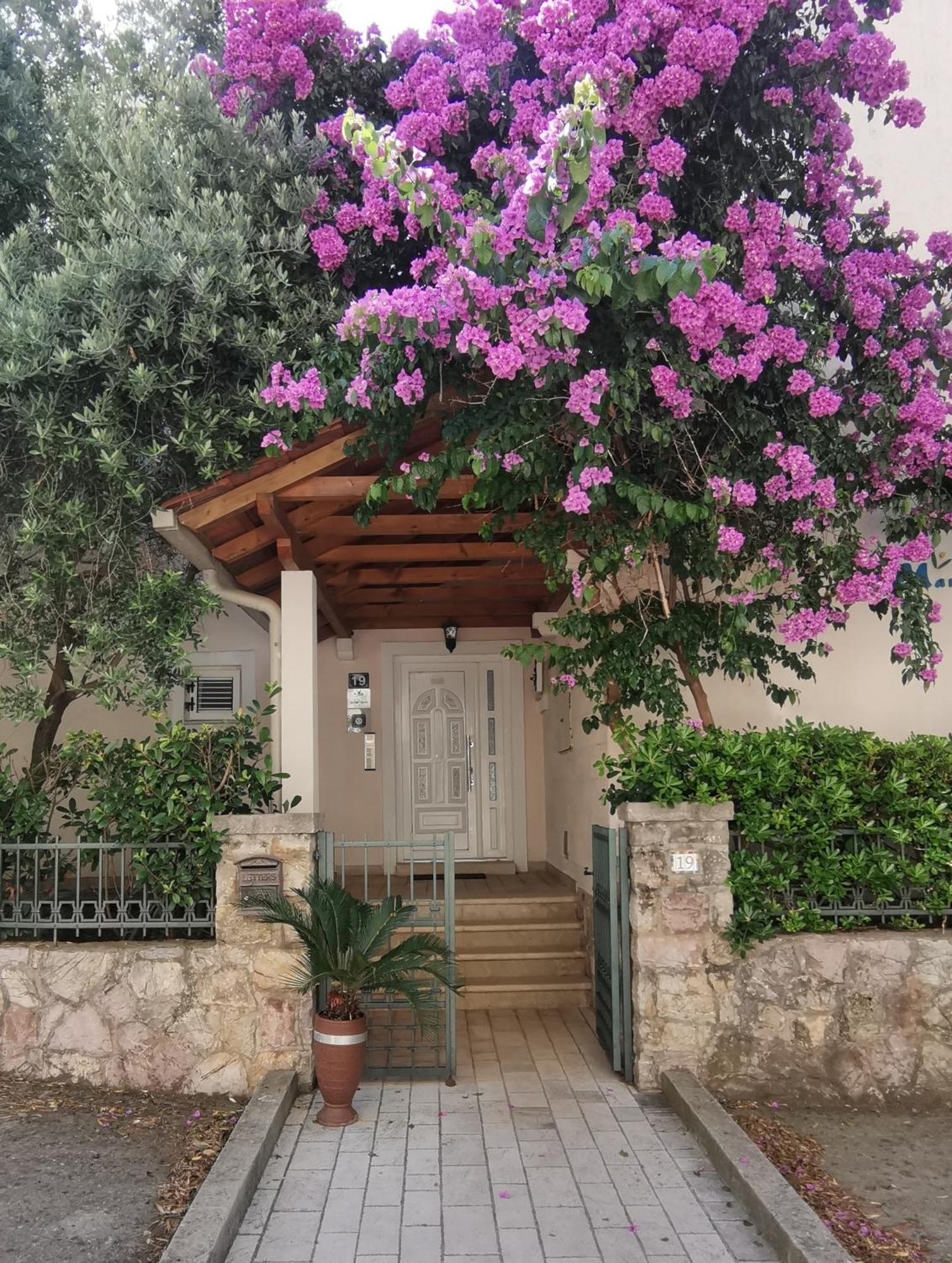 Apartments Maris Petrovac Dış mekan fotoğraf