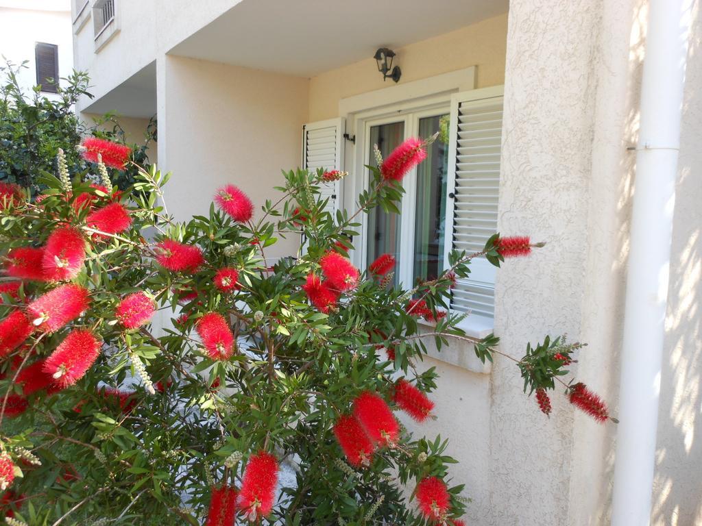 Apartments Maris Petrovac Oda fotoğraf